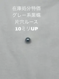 2026年最新】黒蝶真珠 ルースの人気アイテム - メルカリ
