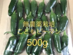京都産　『こどもピーマン』500gのサムネイル