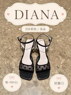 【美品】DIANA ドット柄 メッシュ ブラックミュール