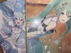 初音ミク　色紙　43C　プロセカ