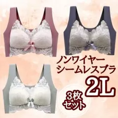 2L シームレスブラ ナイトブラ ノンワイヤー 大きいサイズ ゆったり 3枚