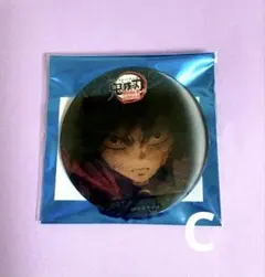 鬼滅の刃 冨岡義勇 水の呼吸ランダムアクションアニメーション缶バッジ C