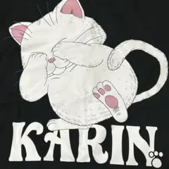 美品✨ドラゴンボール Tシャツ カリン様デザイン 3L 黒（ブラック）