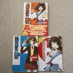 涼宮ハルヒの憂鬱 前後セット ラノベ 初回限定盤特性小冊子付き