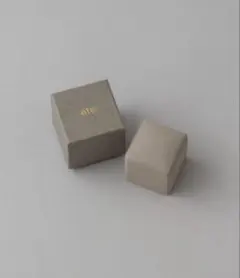 新品ete アクセサリーケースSジュエリーボックス