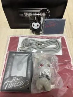 TWICE THIS IS FOR アプグレ特典 4/26 国立競技場