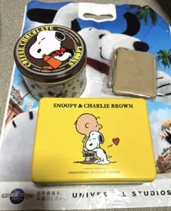 USJ　スヌーピー　チャーリーブラウン　空き缶　パスケース3点セット