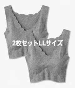 2枚セット グンゼ キレイラボ 完全無縫製 綿混 ハーフトップブラ LLのサムネイル