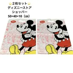 【２枚セット】ディズニーストア/ショップ袋/ショッパー/両面デザイン/非売品◎