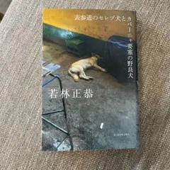 表参道のセレブ犬とカバーニャ要塞の野良犬