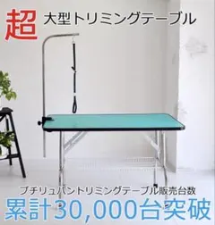 Item thumbnail for item efa2f09e-5b9e-427c-90f1-26bd81f9eb62