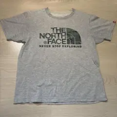 THE NORTH FACE カモフラロゴ Tシャツ グレー