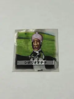 こびとずかん　シール　キラ　おまけつき