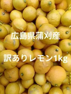 訳あり！！　広島県蒲刈産　レモン1kgのサムネイル