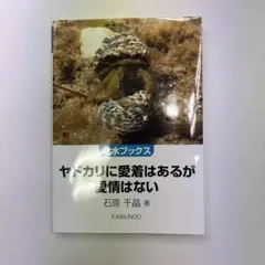 ヤドカリに愛着はあるが愛情はない