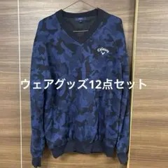 Item thumbnail for item 32c6ead1-dbe3-4ad9-9789-492259cd6526