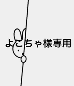 よこちゃ様 リクエスト 2点 まとめ商品　ジェルネイルシール