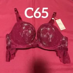 夢みるブラ　C65 レッド　ドリーミーポインセチア　アモスタイル　トリンプ