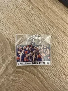 宇都宮ブレックス キーホルダー