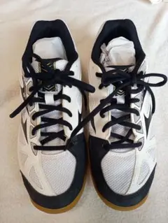 着払！『美品✨』Mizuno バレーボールシューズ 24.5