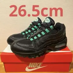 じ*ン様 Nike Air Max 95 Big Bubble