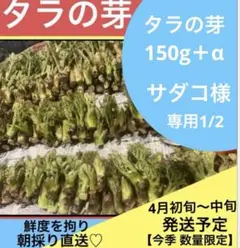 【サダコ様専用】　タラの芽　٩(ˊᗜˋ*)و ✿