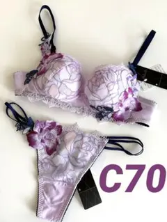 C70サルート3点セット　新品未使用タグ付き 2025年最新】サルート ブラジャー c70の人気アイテム - メルカリ