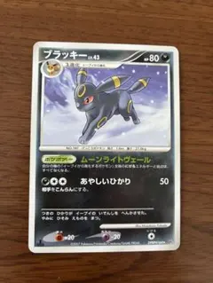 5月13日限定価格セール ブラッキーLv.43 - メルカリ