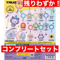 TRUZ めじるしアクセサリー キラキラスペシャルラメ 全10種 コンプリート