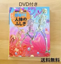ma様 リクエスト 2点 まとめ商品