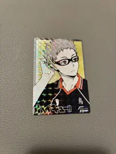 ハイキュー!! きゃらくたぶるカードグミ Vol.4 月島蛍