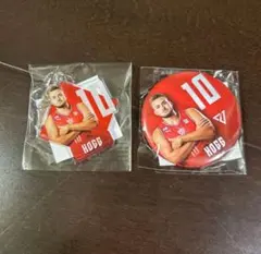 千葉ジェッツ　ホグ　缶バッジ　アクキー