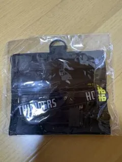 群馬クレインサンダーズ パスケース 新品