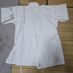 Item thumbnail for item 5906d252-c040-494c-857b-5d64304704b7