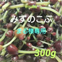 パッキー様専用 秋田県産 みずのこぶ 500g 採れたて | Mercari