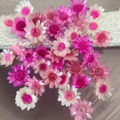 み様 リクエスト 5点 まとめ商品