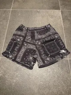 The North Face ノースフェイス バーサタイルショーツNB42052