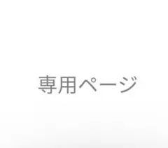 専用ページ