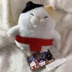 ひげまんじゅう　みーさま