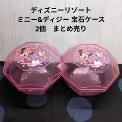 ディズニーリゾート ミニー&ディジー 宝石ケース　2個　まとめ売り