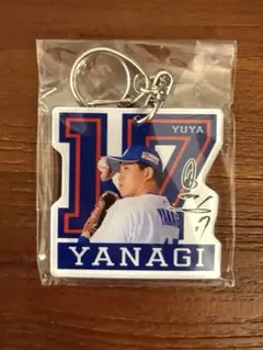 中日ドラゴンズ　柳裕也　ダイカットキーホルダー
