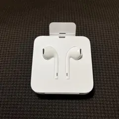 アップル　純正　イヤフォン　ライトニング端子