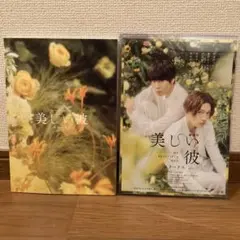 劇場版 美しい彼 エターナル パンフレット＆チラシ