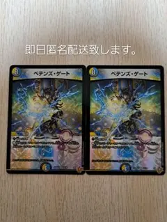 ペテンズ・ゲート 2枚セット