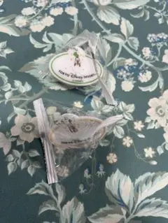 ディズニーリゾート　ネームプレートキーチェーン2個セット(プルート、グーフィー)