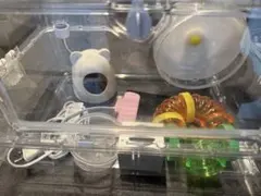 Item thumbnail for item 69e98b8a-195f-4072-be28-a4dba2b2a5e5