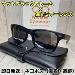 ウェリントン 偏光サングラス ミラーレンズ マットブラックフレーム レザーケース