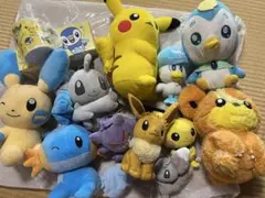 ポケモン ぬいぐるみとカップ2個