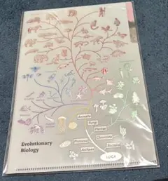 Item thumbnail for item 462efdf7-ef39-42c5-aa5d-5c40171be11e