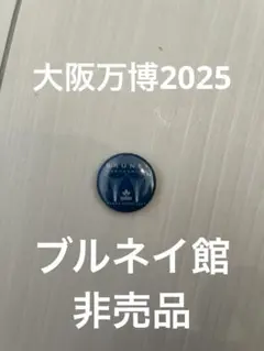 【非売品】大阪・関西万博　コモンズ-F ブルネイパビリオン　缶バッジ